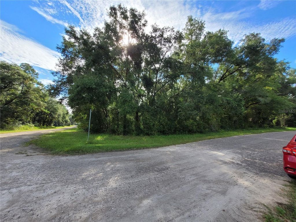 Photo of 8839 N Pelican Terrace, Dunnellon, FL 34434 (MLS # OM709351)