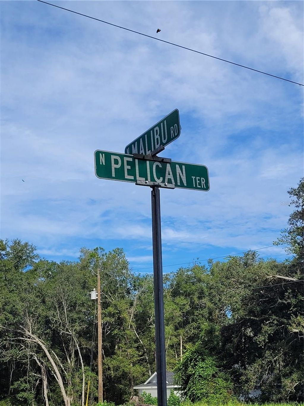 Photo of 8839 N Pelican Terrace, Dunnellon, FL 34434 (MLS # OM709351)