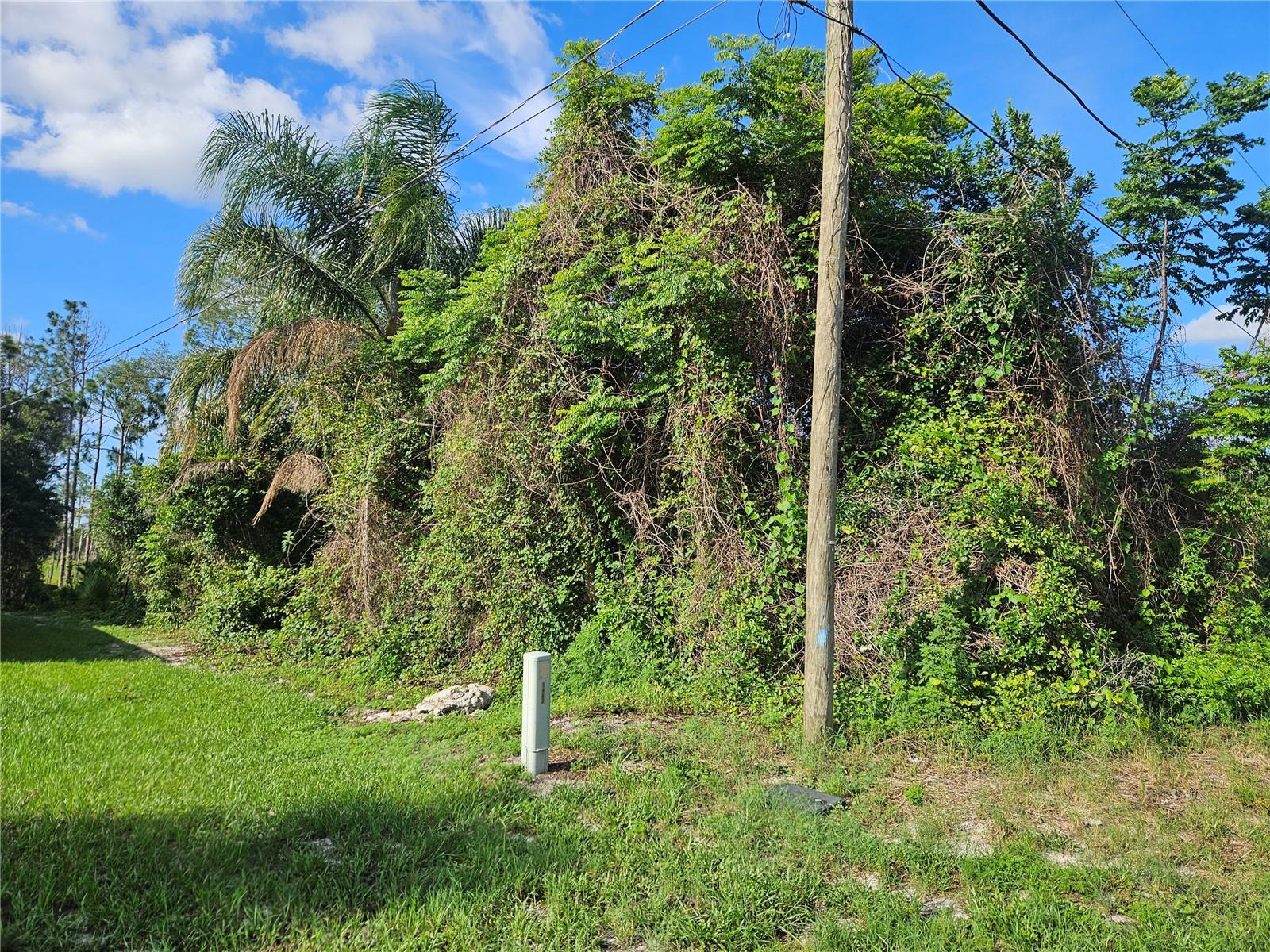 1879 BONKIRK DRIVE