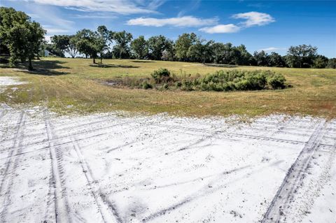 Tiny photo for SE 180 Street Road, Umatilla, FL 32784 (MLS # G5074995)