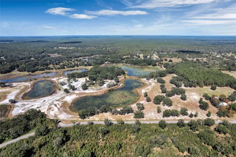 Tiny photo for SE 180 Street Road, Umatilla, FL 32784 (MLS # G5074995)