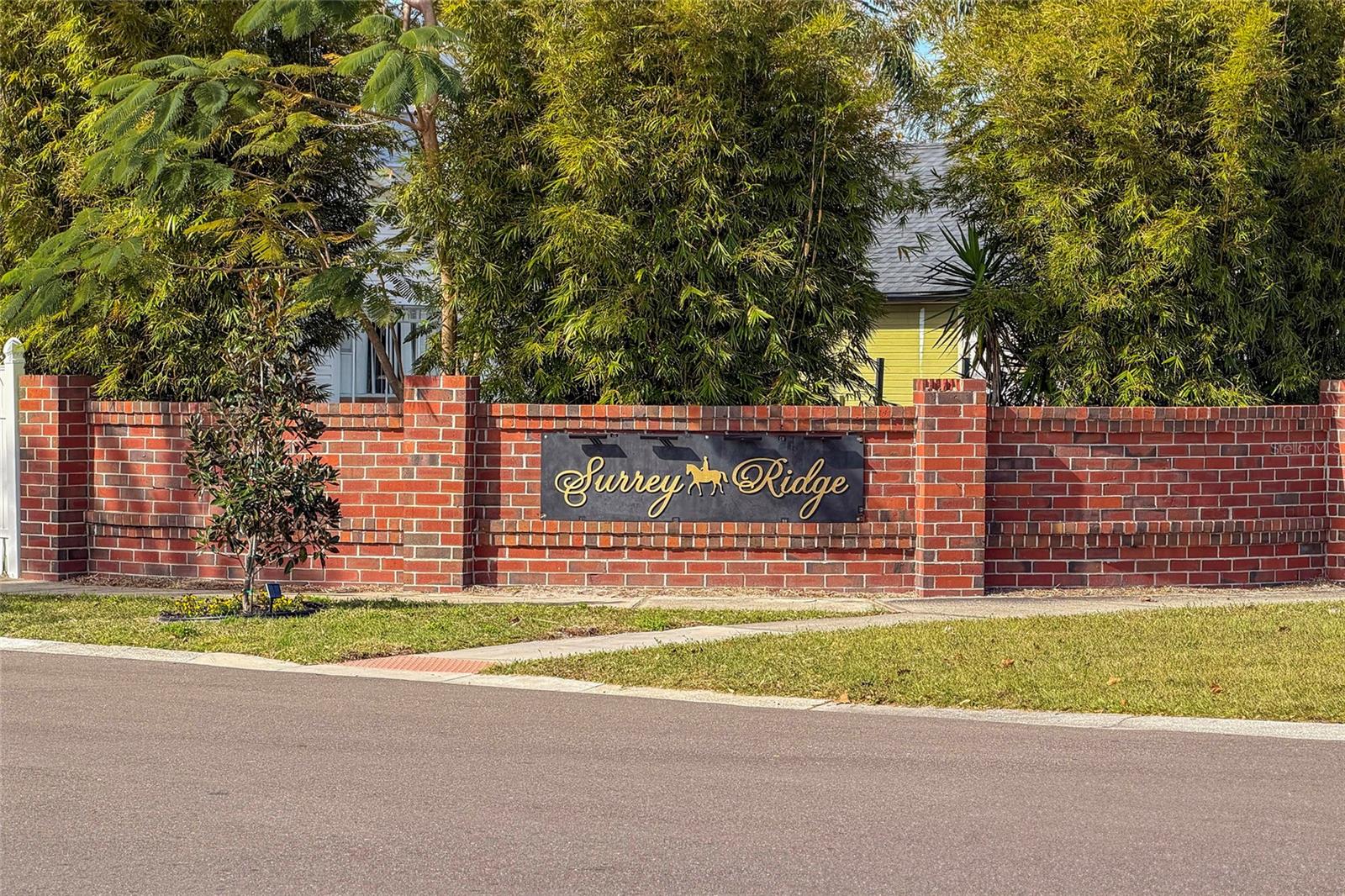 SURREY RIDGE - Residential