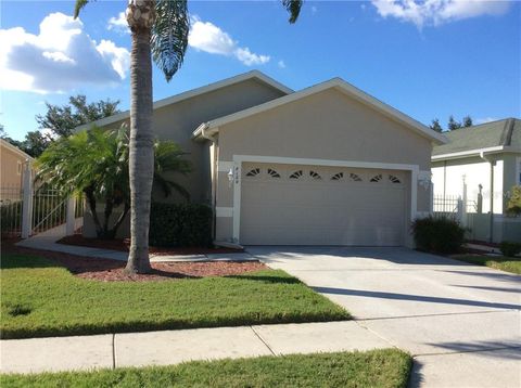 A home in LAND O LAKES