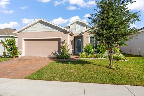 A home in MOUNT DORA