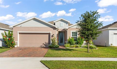 A home in MOUNT DORA