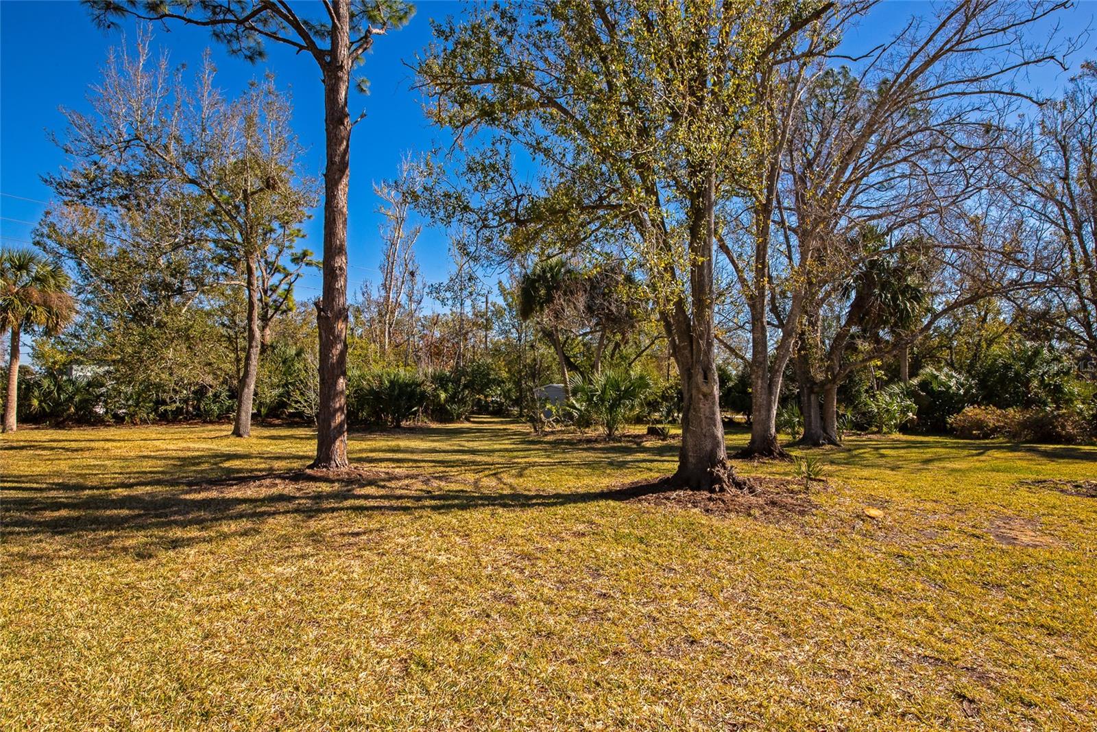 OXFORD MANOR - Residential