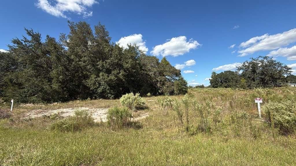 Photo of 15 SW 105th Pl, Dunnellon, FL 34432 (MLS # G5104246)