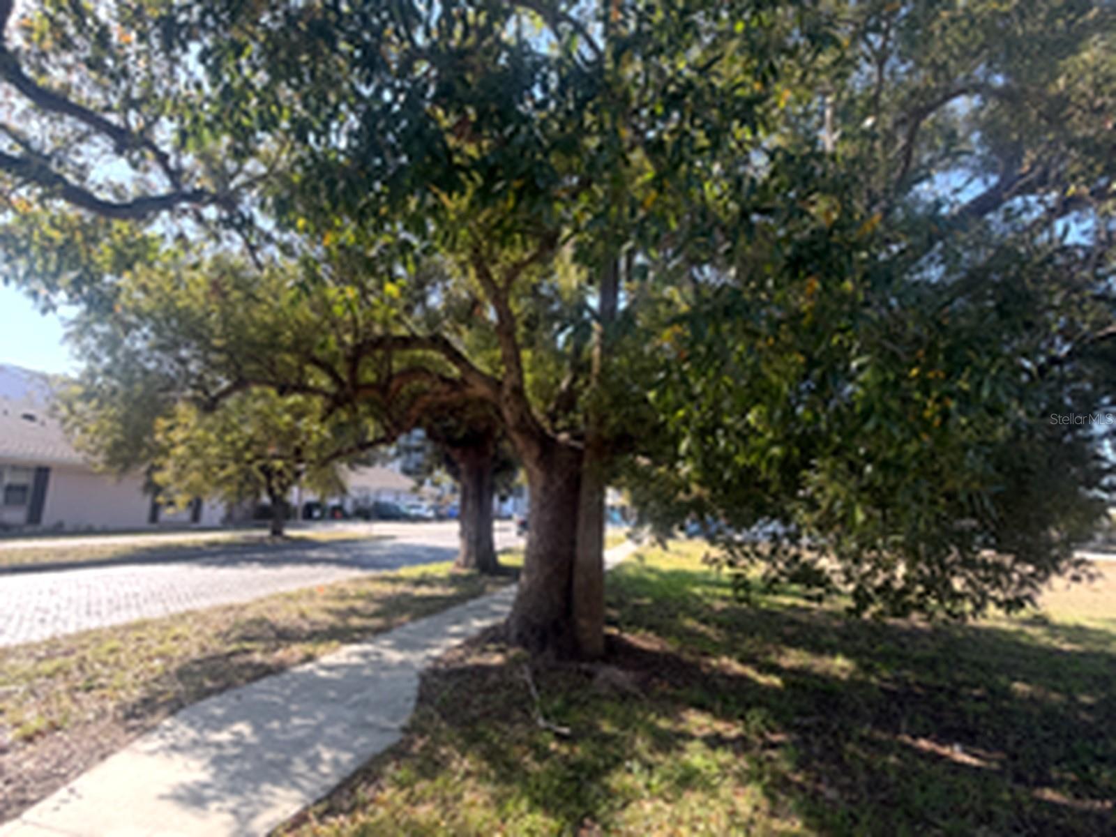 1802 N MITCHELL AVENUE