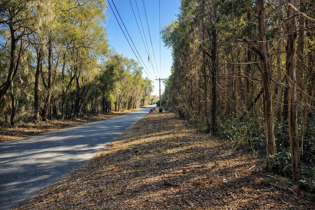 Photo of Tbd SW 121 Avenue, Archer, FL 32618 (MLS # GC537350)