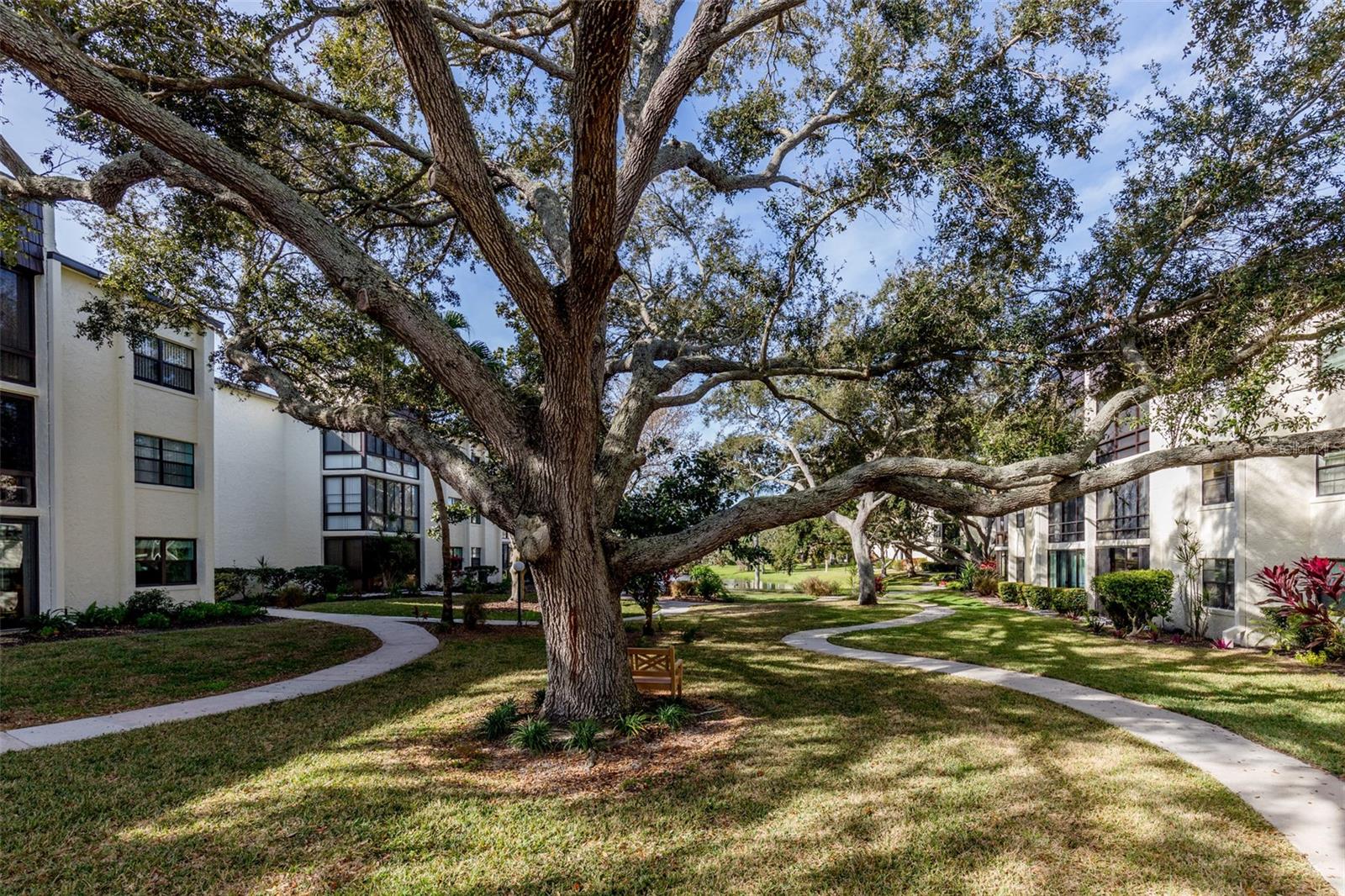 LAKEVIEW OF LARGO - Residential