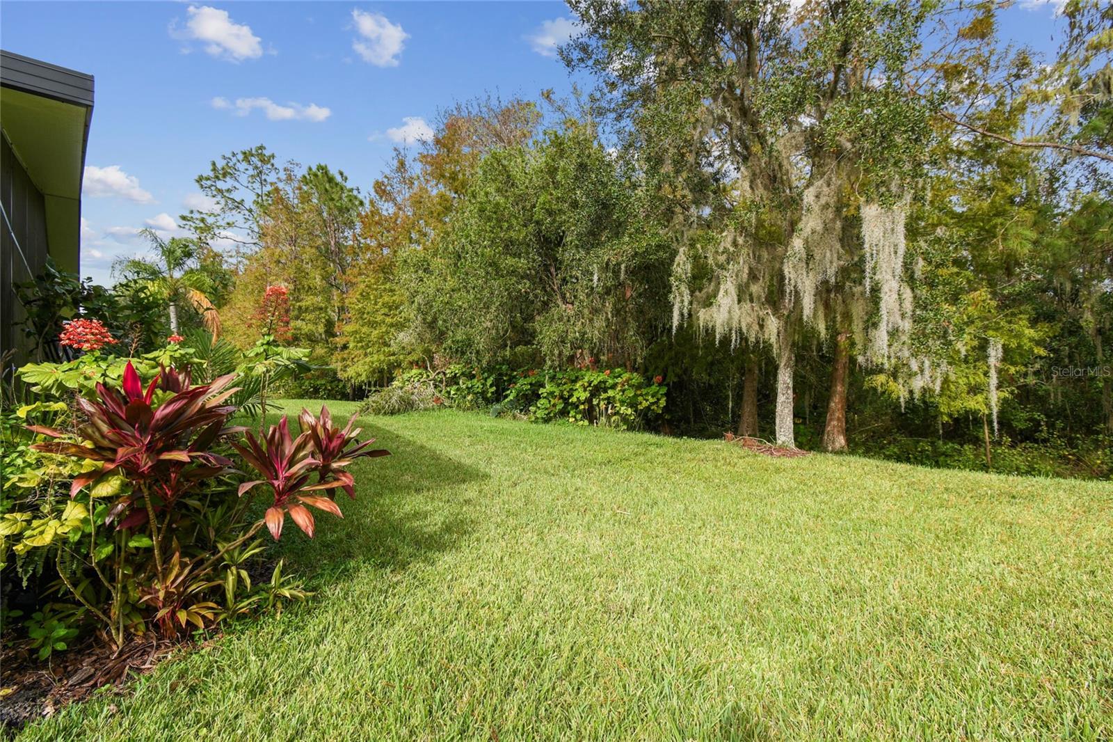 540 GENOA DR