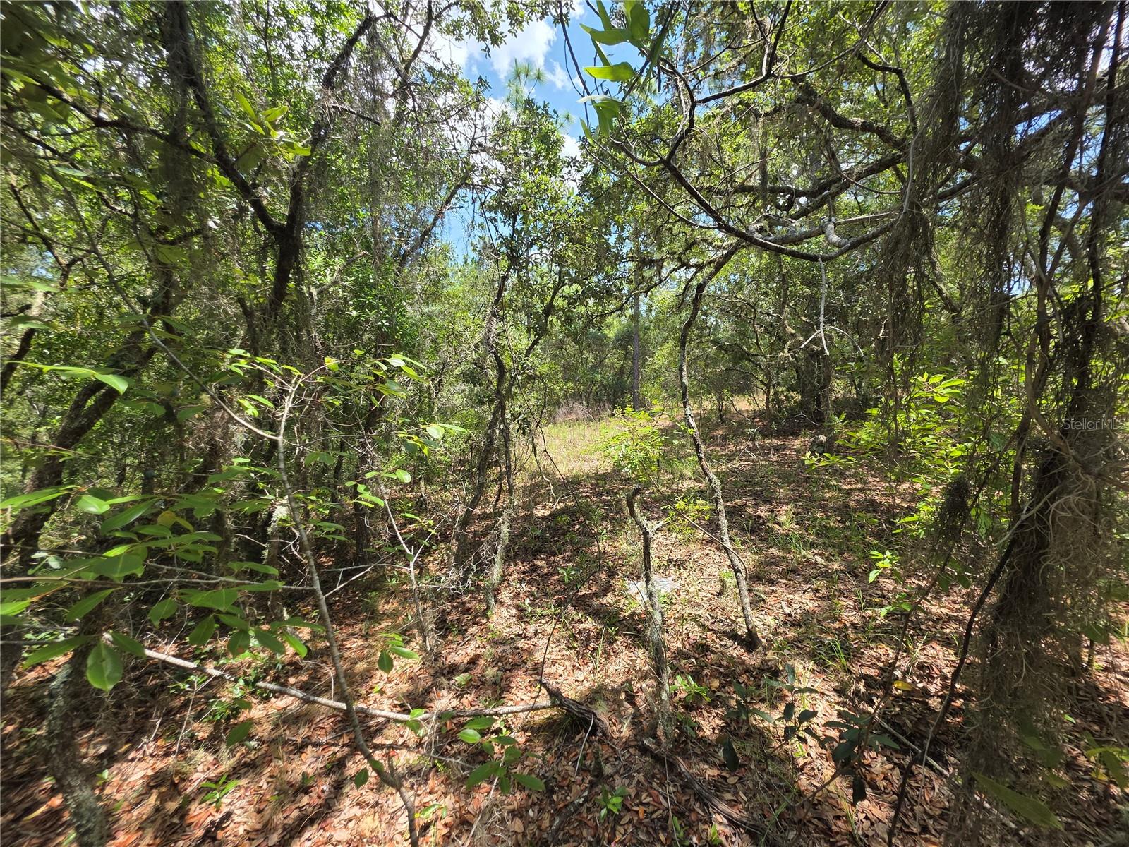 RAINBOW LAKES ESTATE - Land
