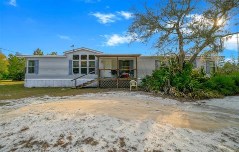 Photo of 137 Franklin Avenue, Pomona Park, FL 32181 (MLS # OM692634)