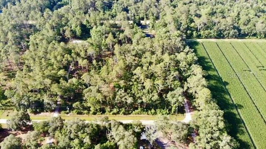 Prime corner lot available in Flagler Estates, St. Johns County—just under 1 acre with excellent access and development potential. This residentially zoned parcel offers flexibility for your custom home, mobile home, or investment property. With power available at the lot line and frontage on two roads, the location is ideal for easy access and site design versatility.

Located in a growing rural community with no HOA, this lot is just a short drive to St. Augustine, Palm Coast, and Palatka. The area is experiencing steady growth, making this an opportunity for builders, investors, or future homeowners seeking space, privacy, and long-term value.