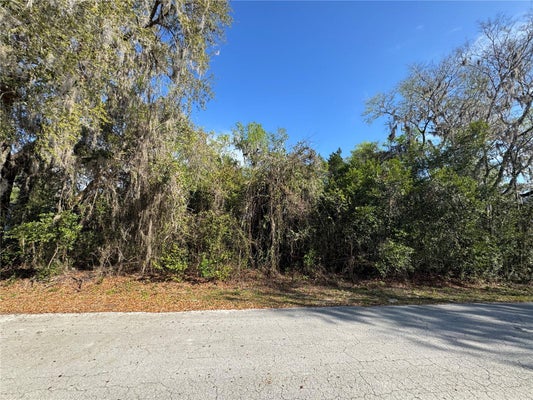 COUNTY RD 482C, LAKE PANASOFFKEE, FL 33538 - Image 6fa004e5d98af78e7df5a2e3cea3acda/2844729929