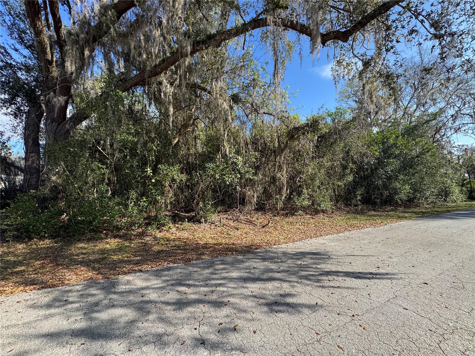 HIDDEN HARBOR - Land