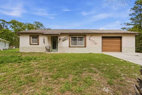 Photo of 11155 Gifford Drive, Spring Hill, FL 34608 (MLS # W7884732)