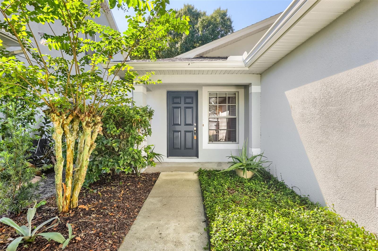 7902 CITRUS BLOSSOM DRIVE