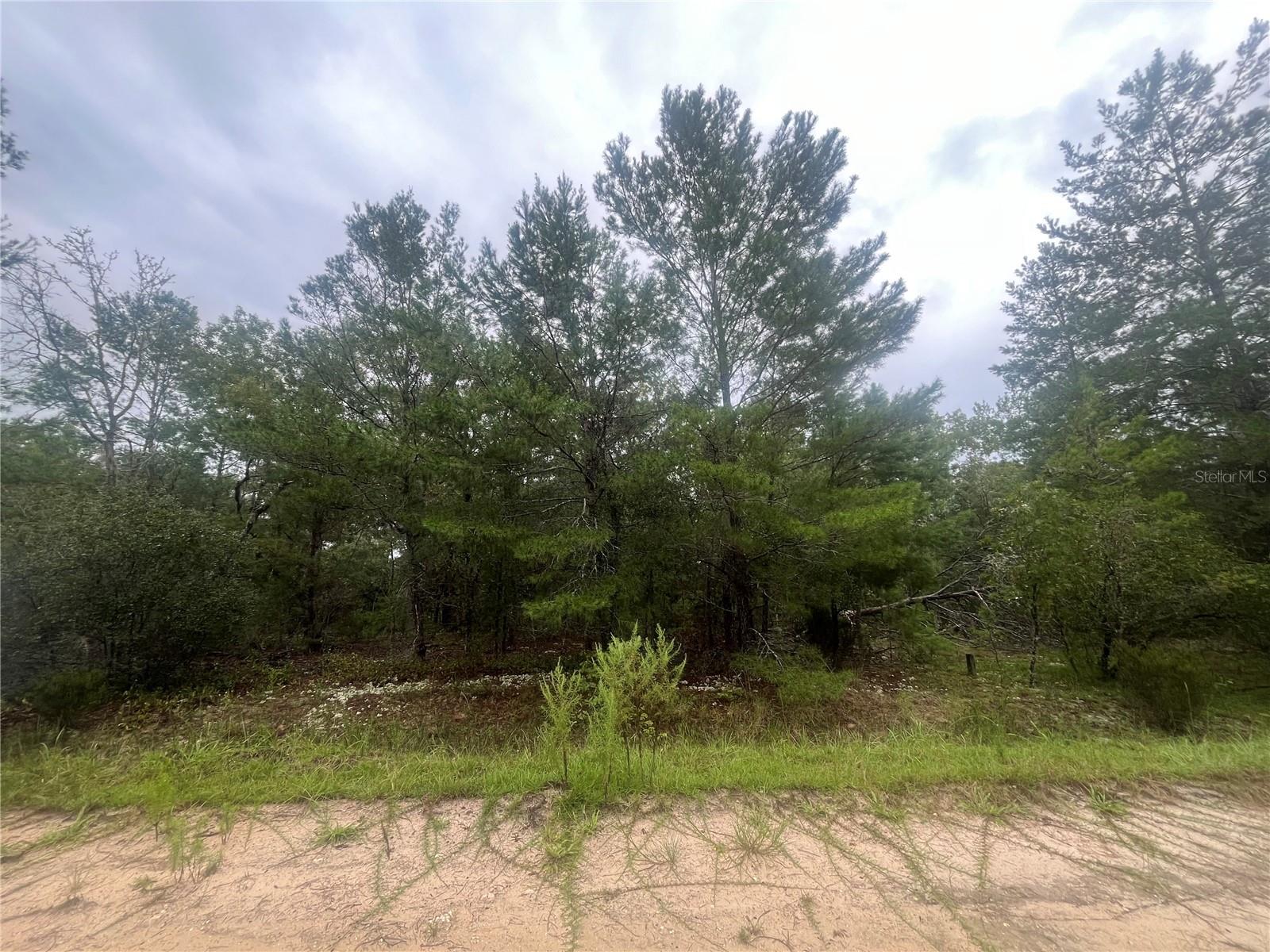 INTERLACHEN LAKES ESTATES - Land