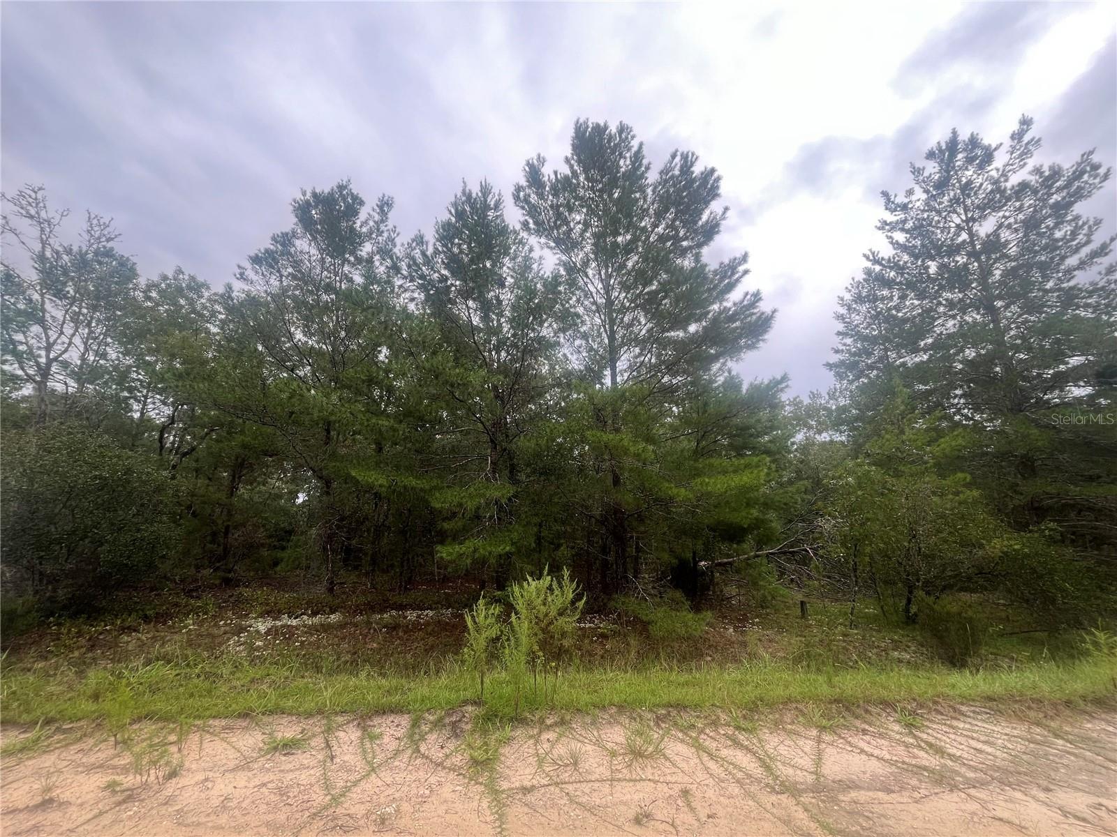 Owner financing is available with only $1,500 down! Build or bring your mobile home to this stunning 0.23 acre lot in the growing city of Interlachen. Recently Mulched! Located within minutes of schools, restaurants, diners, and parks. An easy commute to Gainesville or Palatka and less than an hour from the beach. Investing in land in Florida is a wise choice for your future, whether you're looking to build your dream home, a vacation getaway, a rental property, or simply let the land appreciate as a valuable long-term asset to resell at a profit in the future.