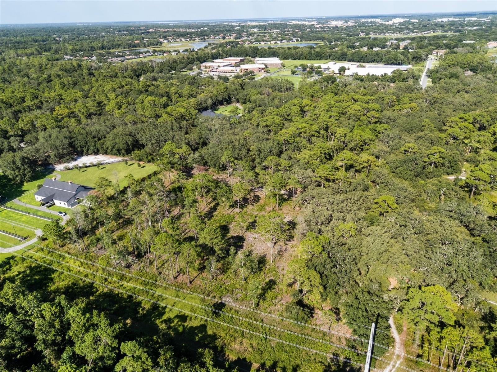 MARKHAM WOODS ROAD