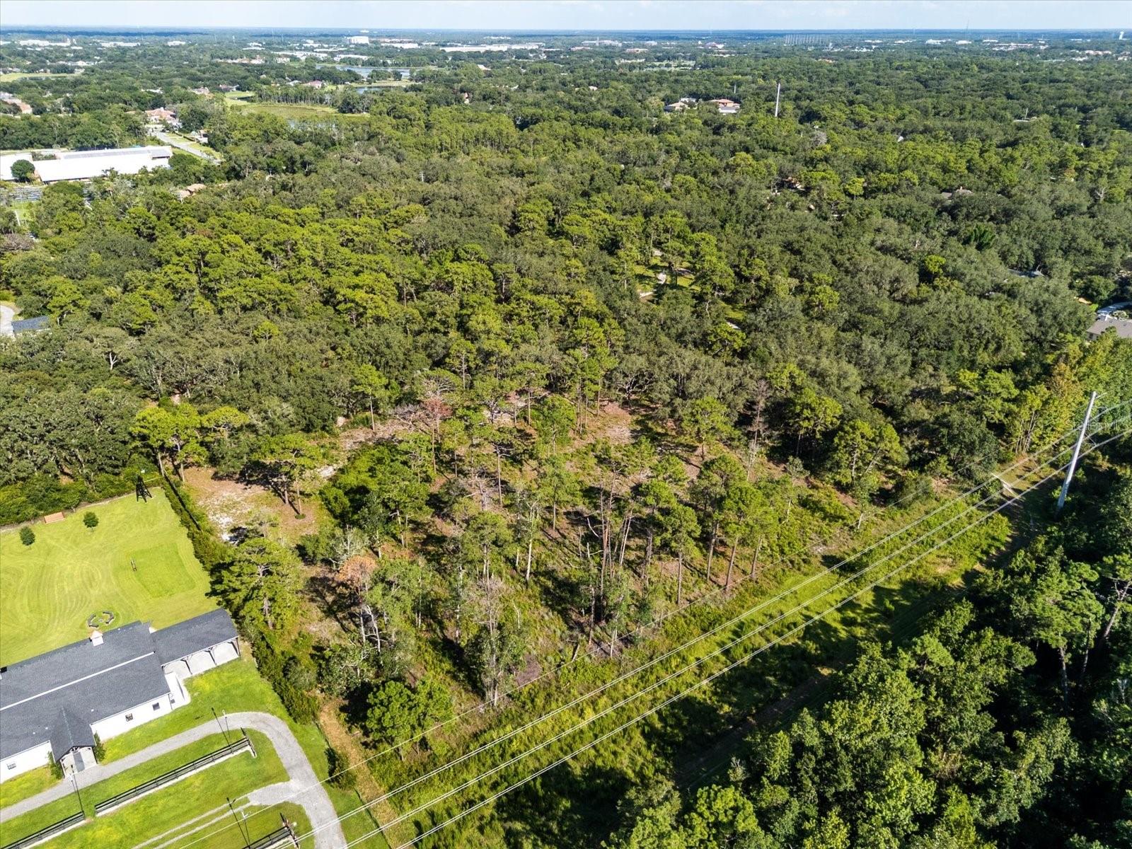 MARKHAM WOODS ROAD
