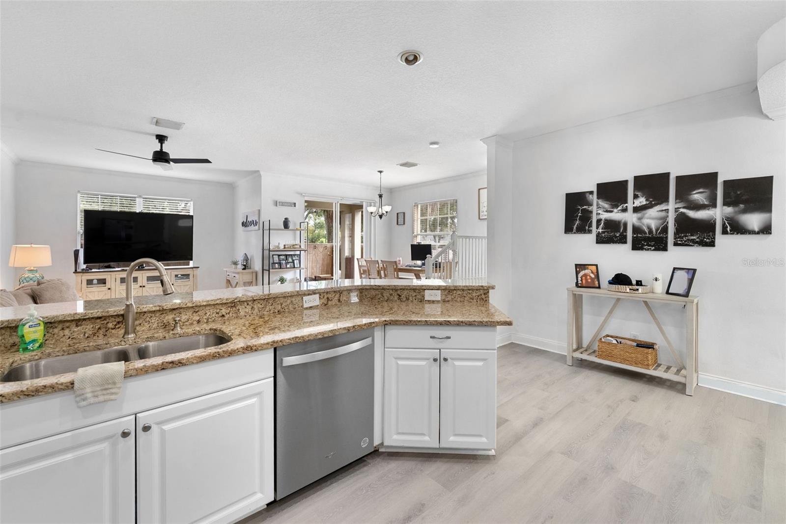 MEADOWS AT LARGO - Residential