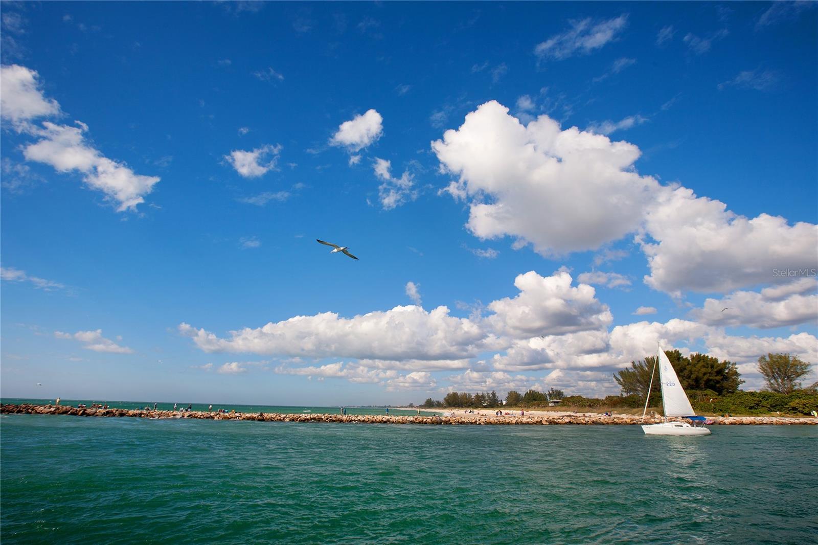 VENEZIA PARK REP - Residential
