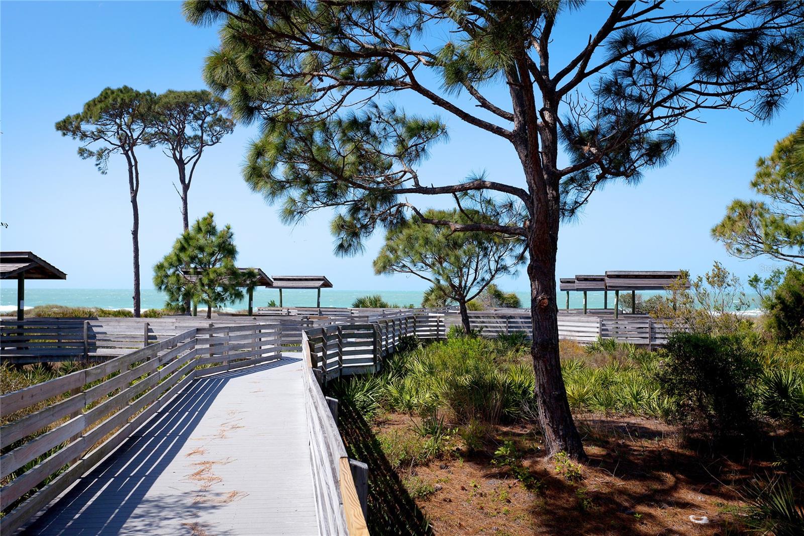 VENEZIA PARK REP - Residential