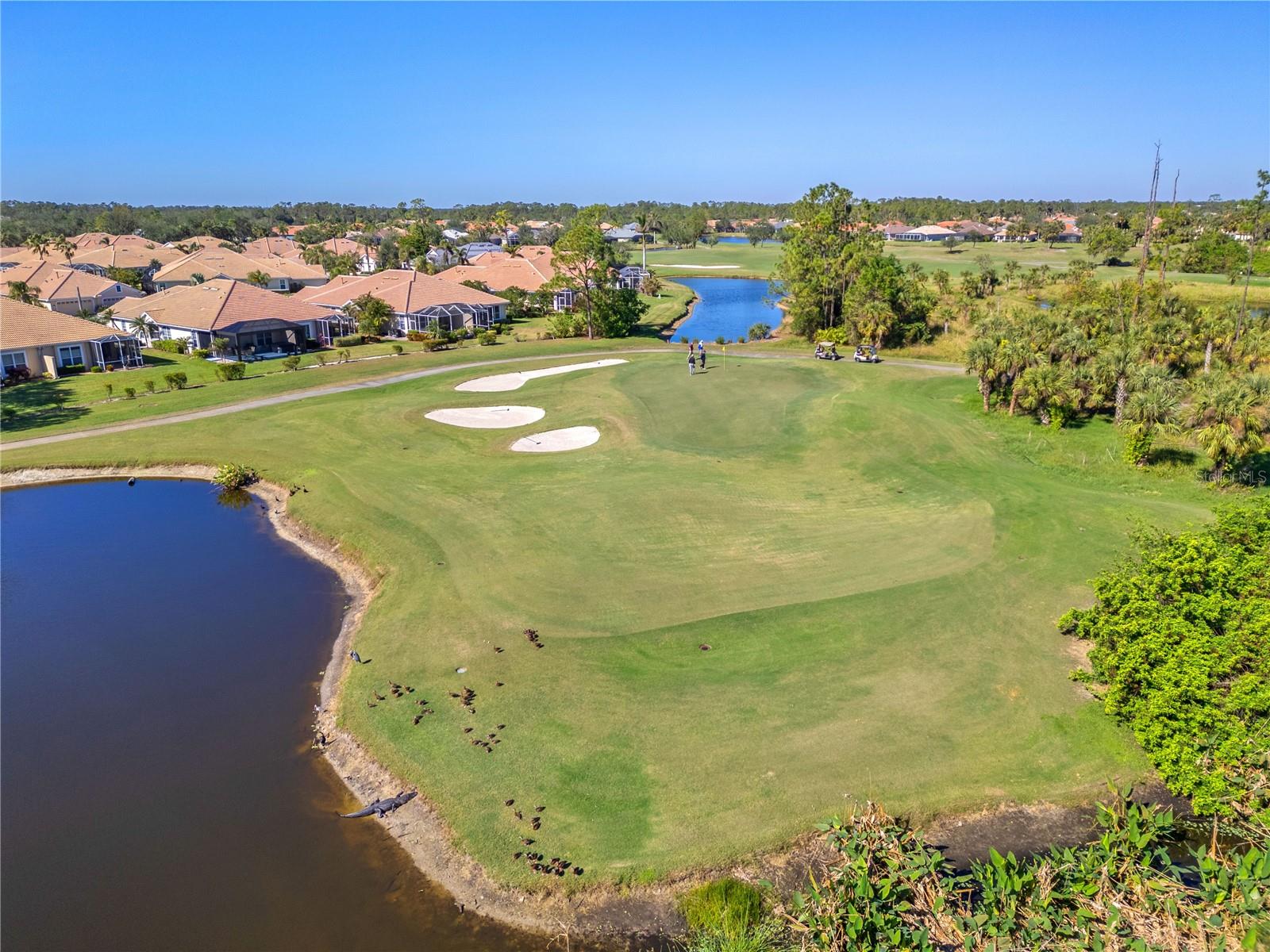 HERON CREEK GOLF AND COUNTRY CLUB - Residential