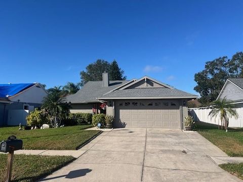 A home in TAMPA