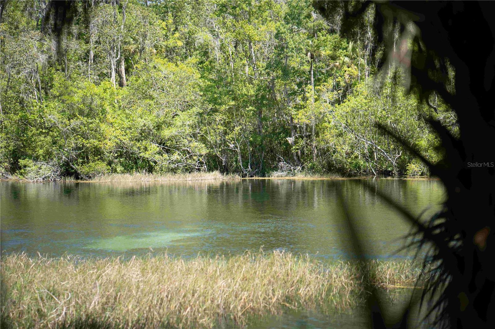 GRAND PARK NORTH - Residential