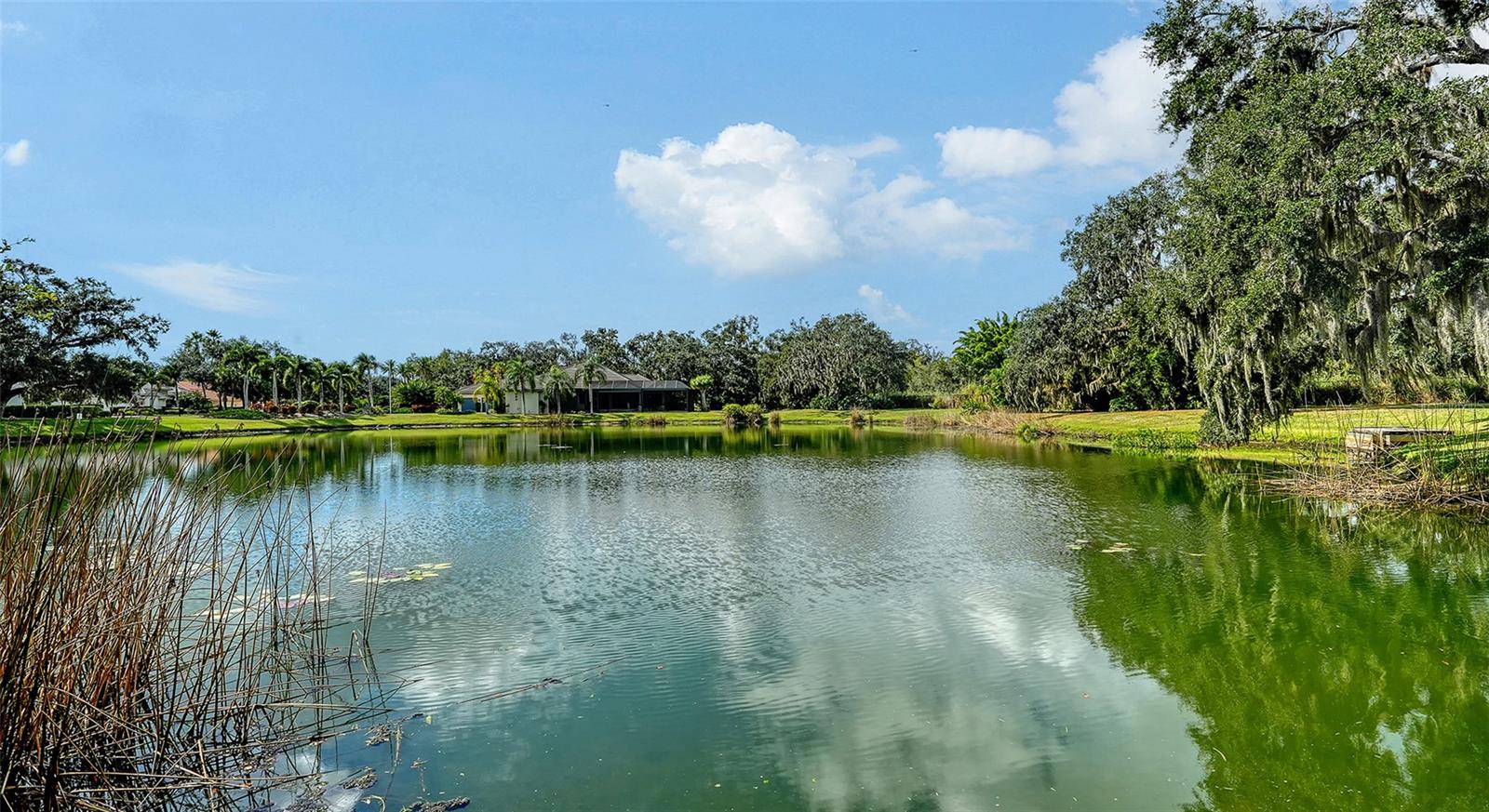 LAUREL OAK ESTATES SEC 09 - Residential