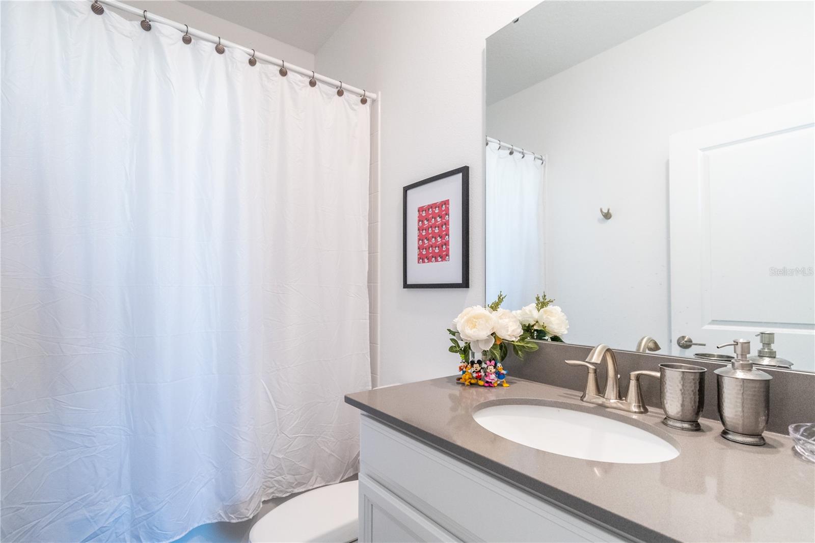 COVE AT STOREY LAKE 4 - Residential