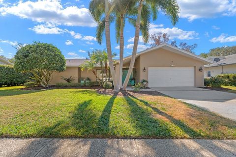 Photo of 1812 Pine Hill Drive, Safety Harbor, FL 34695 (MLS # TB8472606)