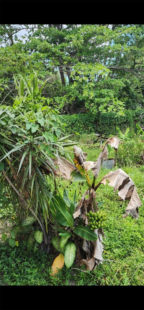 MONTE GRANDE - Residential