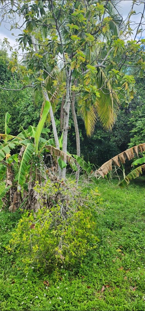 MONTE GRANDE - Residential