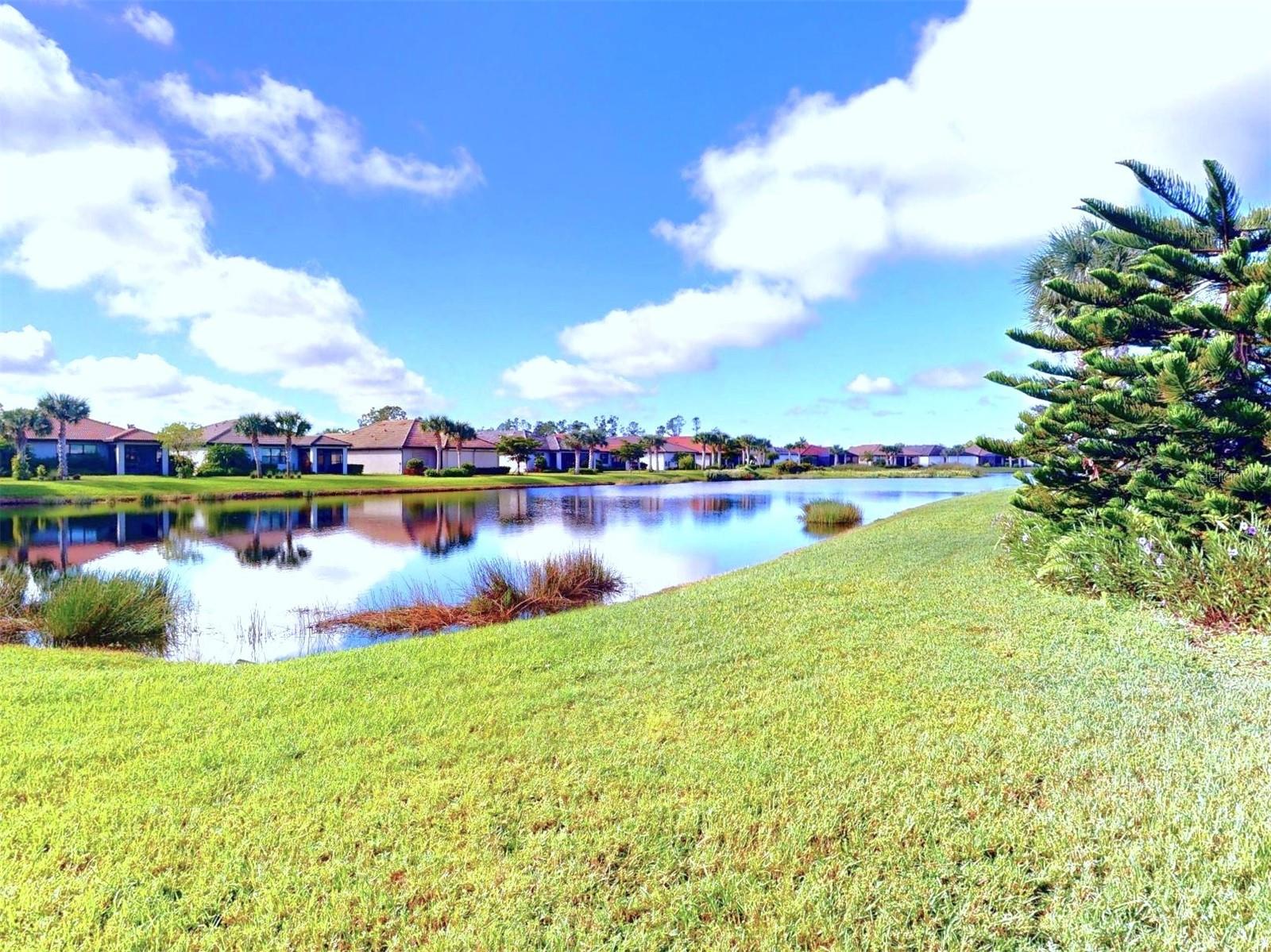 CYPRESS FALLS PH 1D - Residential