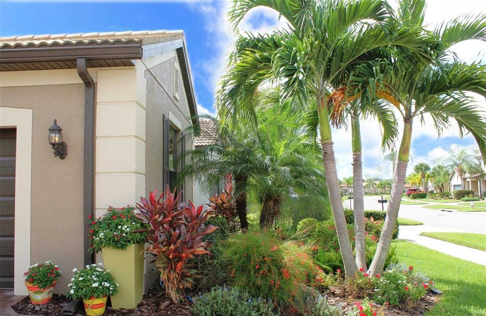 CYPRESS FALLS PH 1D - Residential