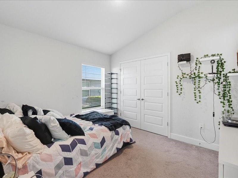 BUCKEYE TRACE - Residential