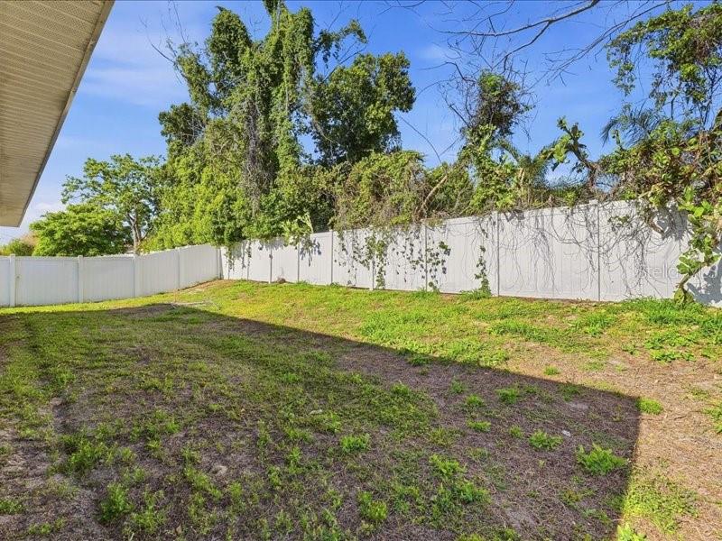 BUCKEYE TRACE - Residential