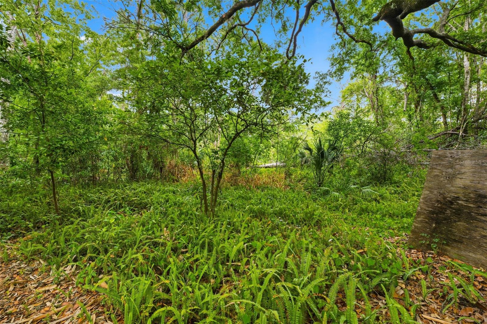 MOON LAKE ESTATES - Residential