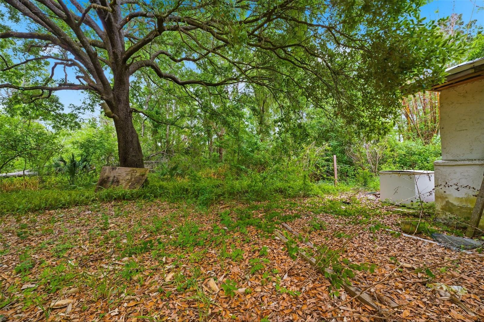 MOON LAKE ESTATES - Residential