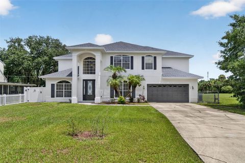 Photo of 166 W 11th Street, Chuluota, FL 32766 (MLS # O6423315)