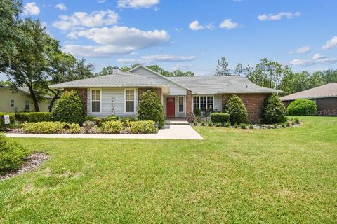 Photo of 2528 Deerbrook Drive, Lakeland, FL 33811 (MLS # TB8385676)