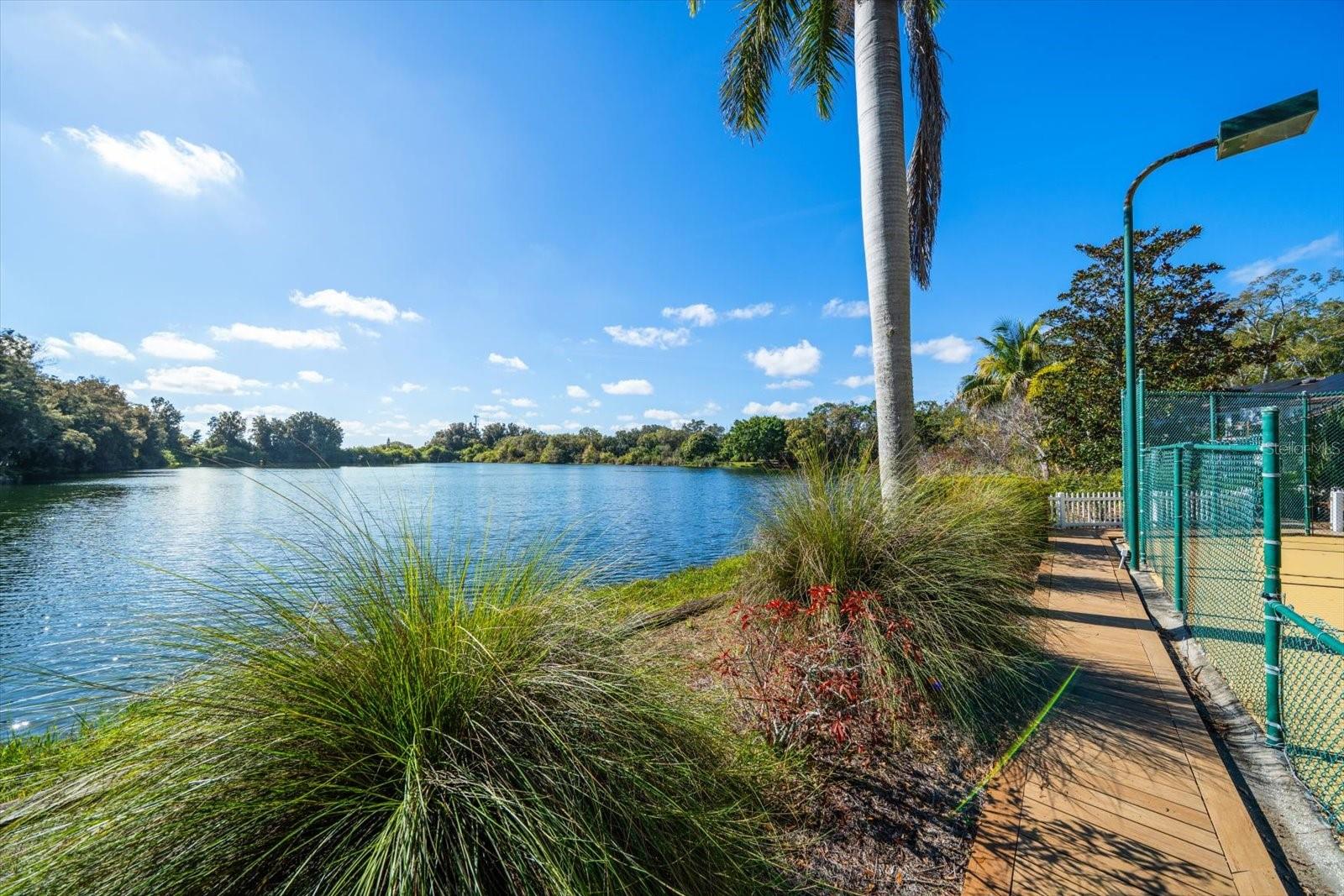 PINELLAS GROVES - Residential