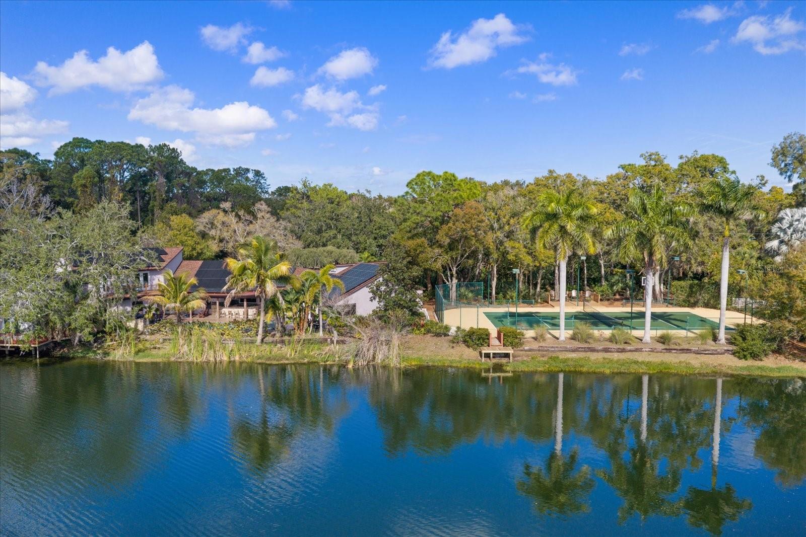 PINELLAS GROVES - Residential