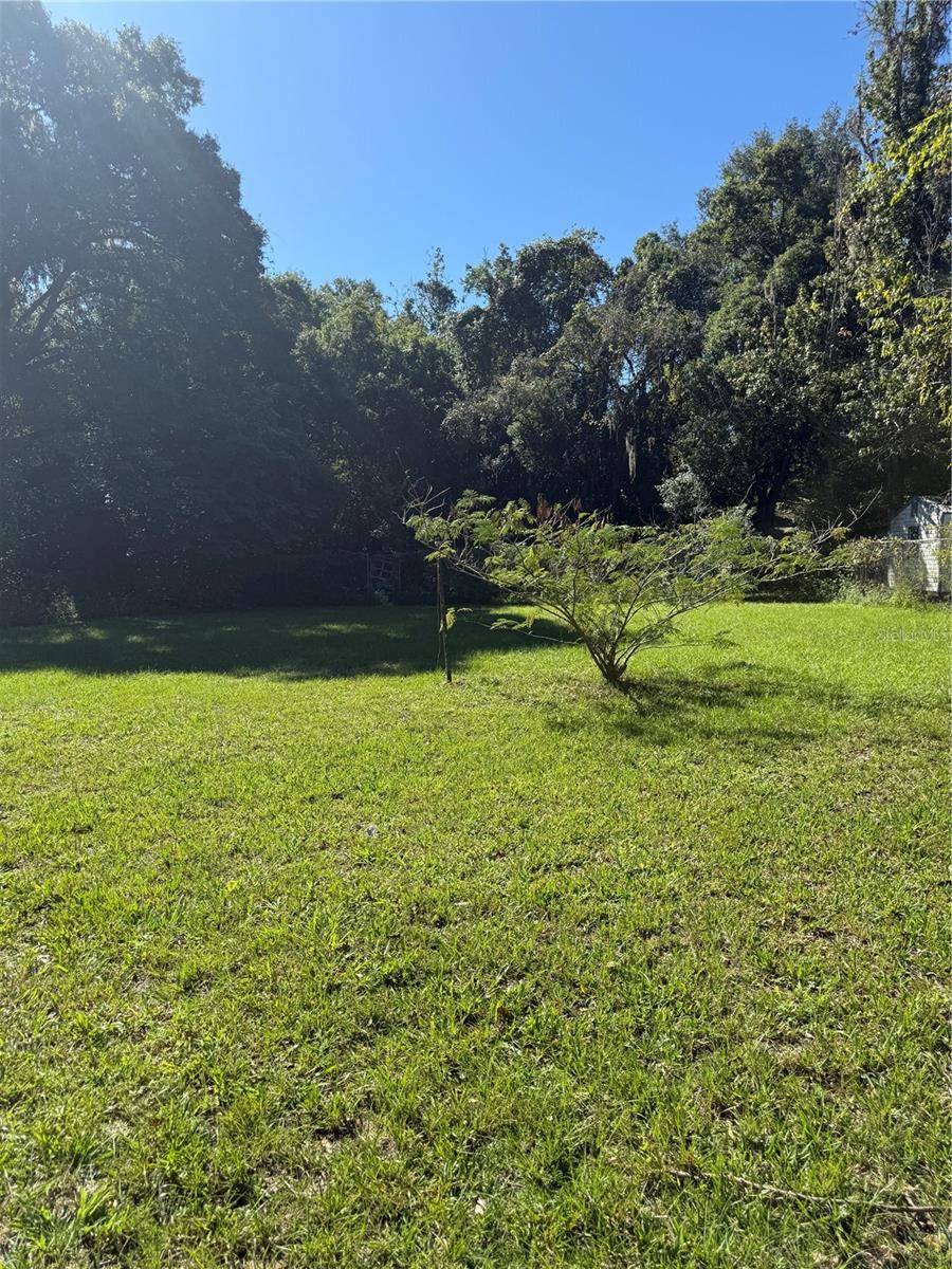 HOME NON SUB - Residential Lease