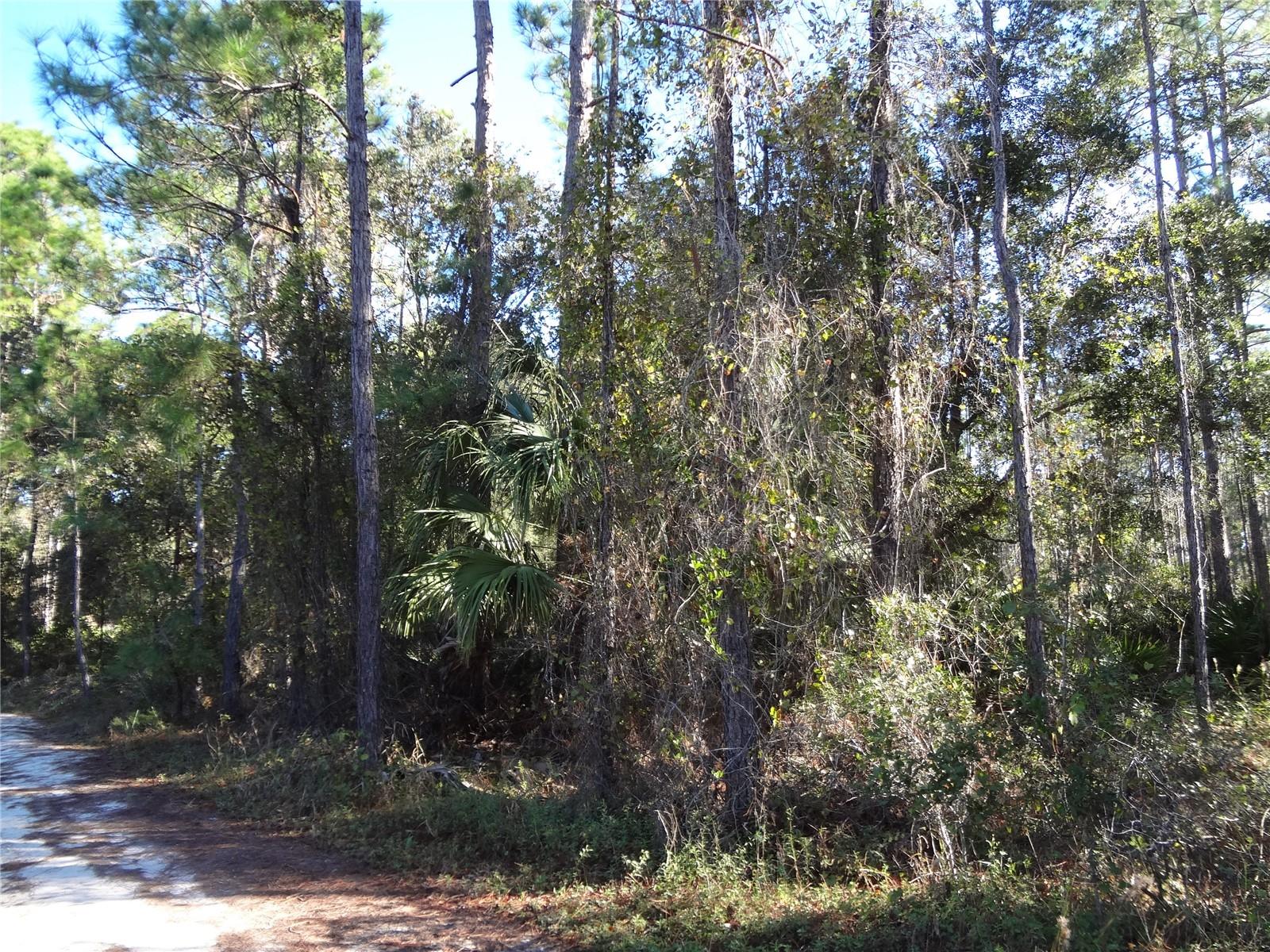 Vacant residential lot in Deland.