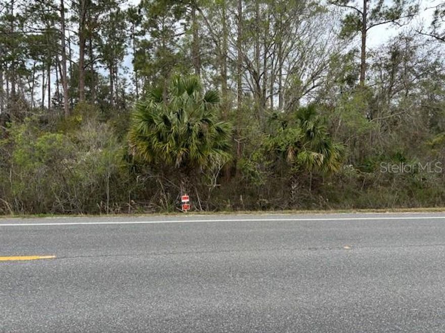 Prime lot located in Ridge Manor Estates in Webster, an area experiencing rapid growth and development. This property offers excellent visibility with high traffic exposure, situated directly on US Highway 301—making it ideal for a variety of commercial business opportunities. Whether you're looking to establish a retail space, office, or service-based business, this location offers strong potential. Buyers, I emphasize the importance of conducting thorough due diligence to ensure that the property meets your expectations and requirements.